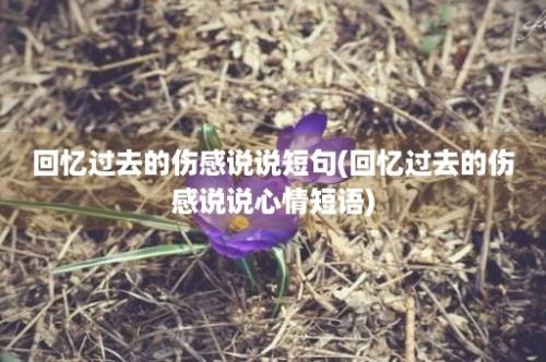 回忆过去的伤感说说短句(回忆过去的伤感说说心情短语)