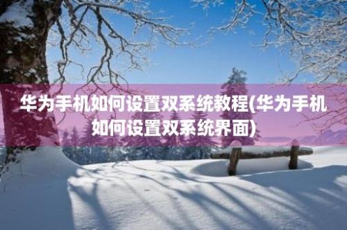 华为手机如何设置双系统教程(华为手机如何设置双系统界面)