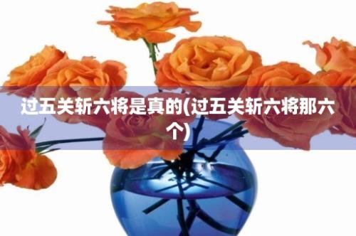 过五关斩六将是真的(过五关斩六将那六个)