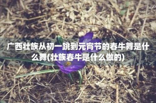 广西壮族从初一跳到元宵节的春牛舞是什么舞(壮族春牛是什么做的)