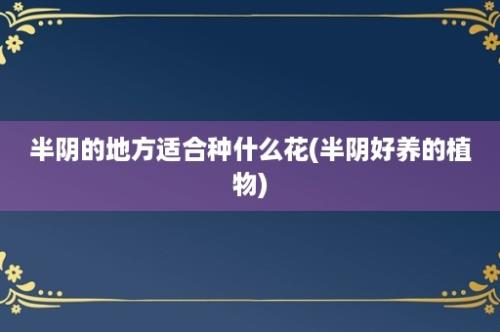 半阴的地方适合种什么花(半阴好养的植物)