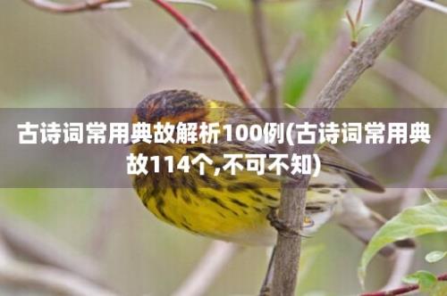 古诗词常用典故解析100例(古诗词常用典故114个,不可不知)