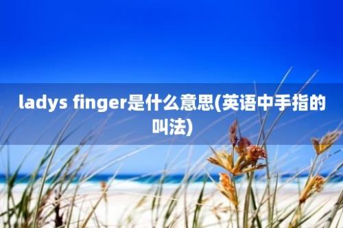 ladys finger是什么意思(英语中手指的叫法)