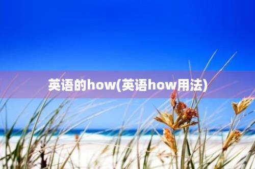 英语的how(英语how用法)