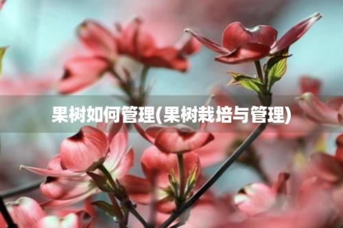 果树如何管理(果树栽培与管理)