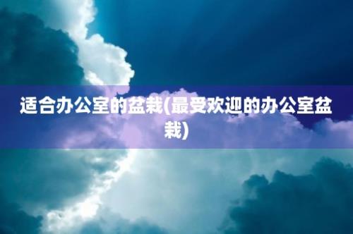 适合办公室的盆栽(最受欢迎的办公室盆栽)