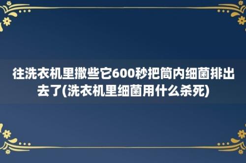 往洗衣机里撒些它600秒把筒内细菌排出去了(洗衣机里细菌用什么杀死)