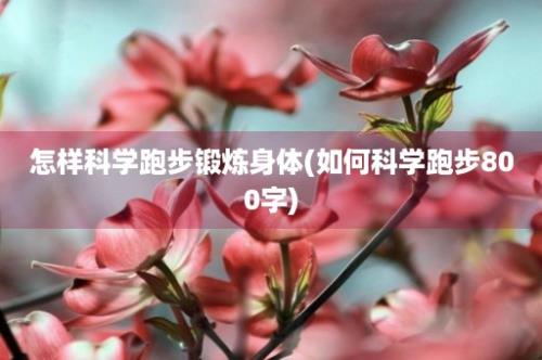 怎样科学跑步锻炼身体(如何科学跑步800字)