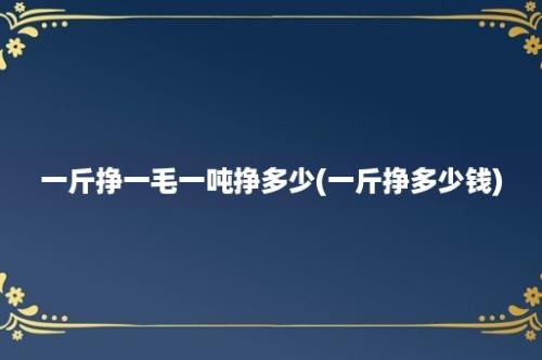 一斤挣一毛一吨挣多少(一斤挣多少钱)