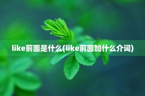 like前面是什么(like前面加什么介词)