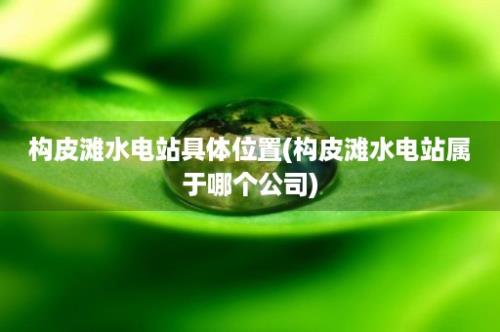 构皮滩水电站具体位置(构皮滩水电站属于哪个公司)