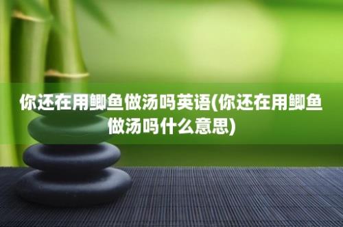 你还在用鲫鱼做汤吗英语(你还在用鲫鱼做汤吗什么意思)