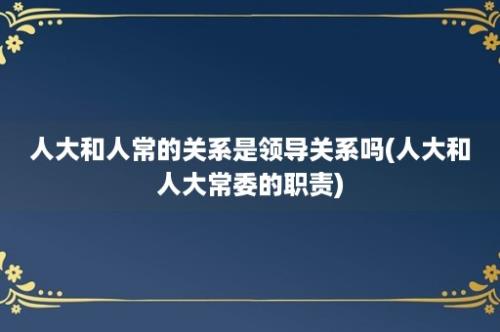 人大和人常的关系是领导关系吗(人大和人大常委的职责)