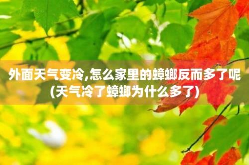 外面天气变冷,怎么家里的蟑螂反而多了呢(天气冷了蟑螂为什么多了)