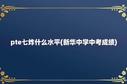 pte七炸什么水平(新华中学中考成绩)