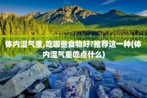 体内湿气重,吃哪些食物好?推荐这一种(体内湿气重吃点什么)