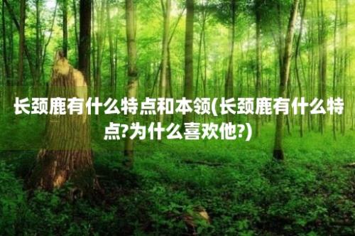 长颈鹿有什么特点和本领(长颈鹿有什么特点?为什么喜欢他?)