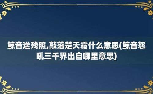 鲸音送残照,敲落楚天霜什么意思(鲸音怒吼三千界出自哪里意思)