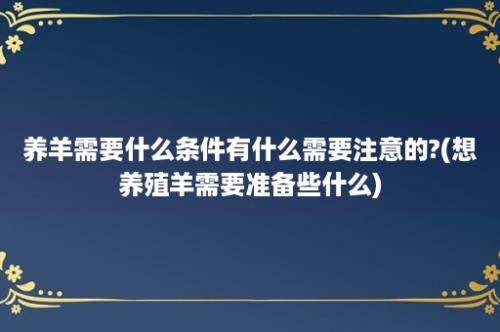 养羊需要什么条件有什么需要注意的?(想养殖羊需要准备些什么)