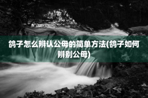 鸽子怎么辨认公母的简单方法(鸽子如何辨别公母)