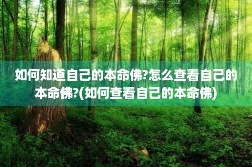 如何知道自己的本命佛?怎么查看自己的本命佛?(如何查看自己的本命佛)