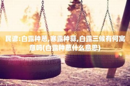 民谚:白露种葱,寒露种蒜,白露三候有何寓意吗(白露种葱什么意思)