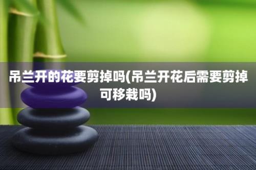 吊兰开的花要剪掉吗(吊兰开花后需要剪掉可移栽吗)