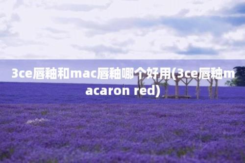 3ce唇釉和mac唇釉哪个好用(3ce唇釉macaron red)