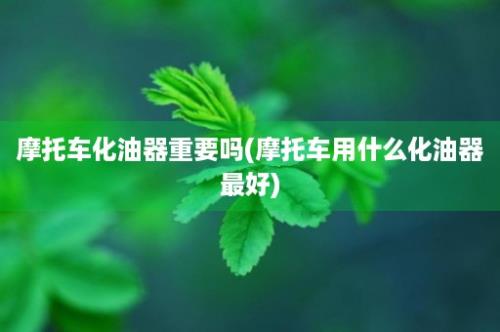 摩托车化油器重要吗(摩托车用什么化油器最好)