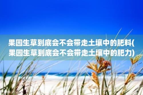 果园生草到底会不会带走土壤中的肥料(果园生草到底会不会带走土壤中的肥力)