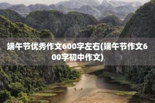 端午节优秀作文600字左右(端午节作文600字初中作文)