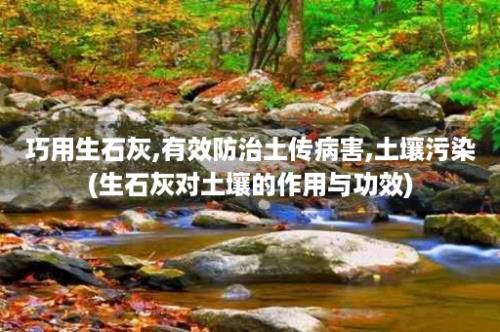 巧用生石灰,有效防治土传病害,土壤污染(生石灰对土壤的作用与功效)