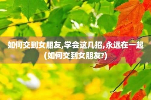 如何交到女朋友,学会这几招,永远在一起(如何交到女朋友?)