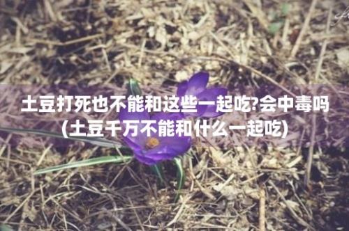 土豆打死也不能和这些一起吃?会中毒吗(土豆千万不能和什么一起吃)