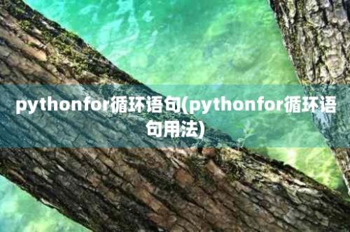 pythonfor循环语句(pythonfor循环语句用法)