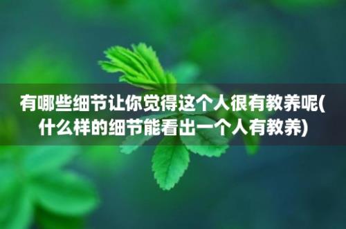 有哪些细节让你觉得这个人很有教养呢(什么样的细节能看出一个人有教养)