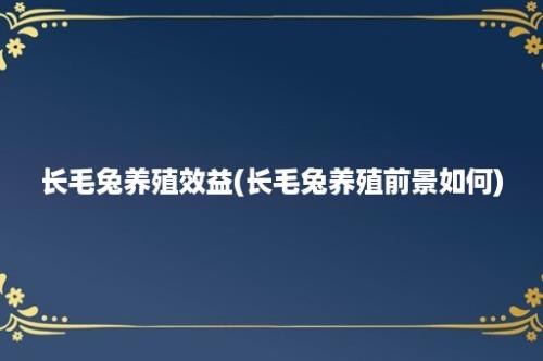 长毛兔养殖效益(长毛兔养殖前景如何)