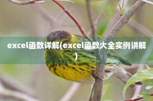 excel函数详解(excel函数大全实例讲解)