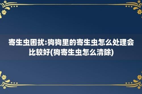 寄生虫困扰:狗狗里的寄生虫怎么处理会比较好(狗寄生虫怎么清除)