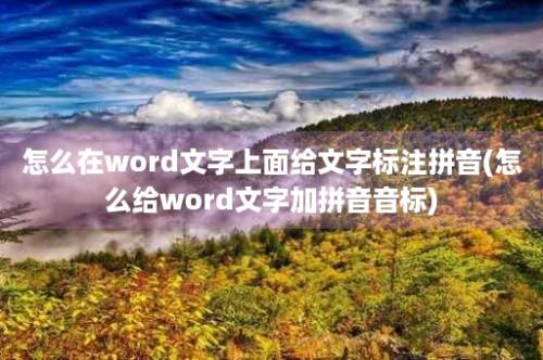 怎么在word文字上面给文字标注拼音(怎么给word文字加拼音音标)