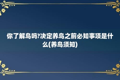 你了解鸟吗?决定养鸟之前必知事项是什么(养鸟须知)