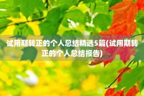 试用期转正的个人总结精选5篇(试用期转正的个人总结报告)