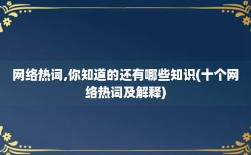 网络热词,你知道的还有哪些知识(十个网络热词及解释)