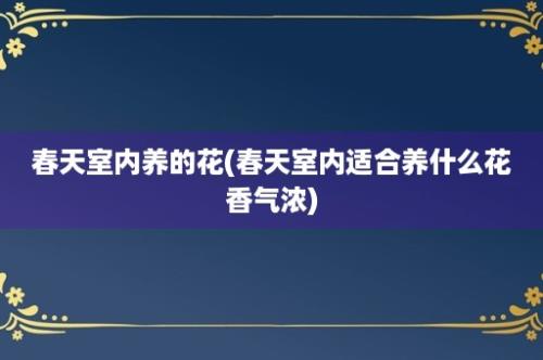 春天室内养的花(春天室内适合养什么花香气浓)