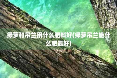 绿萝和吊兰用什么肥料好(绿萝吊兰施什么肥最好)