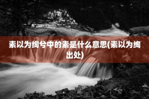 素以为绚兮中的素是什么意思(素以为绚出处)