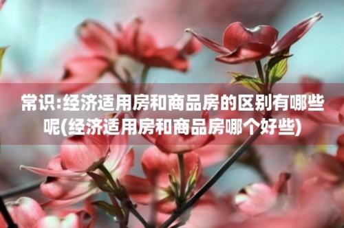 常识:经济适用房和商品房的区别有哪些呢(经济适用房和商品房哪个好些)