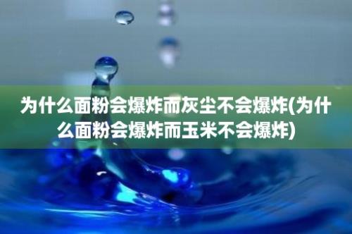 为什么面粉会爆炸而灰尘不会爆炸(为什么面粉会爆炸而玉米不会爆炸)