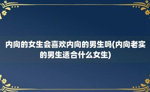 内向的女生会喜欢内向的男生吗(内向老实的男生适合什么女生)