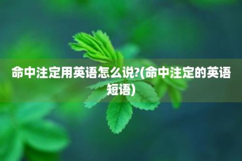 命中注定用英语怎么说?(命中注定的英语短语)